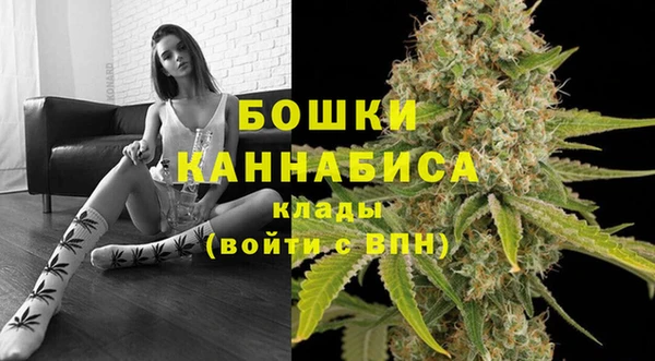 ГАЛЛЮЦИНОГЕННЫЕ ГРИБЫ Вязники