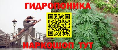 наркотики Гай