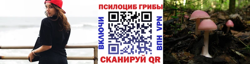 где можно купить Губкин Галлюциногенные грибы ЛСД