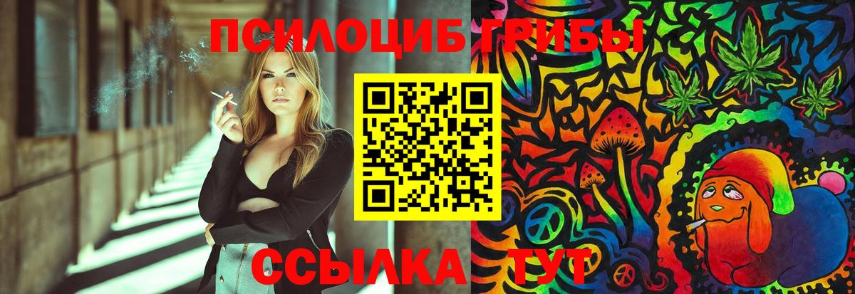 Псилоцибиновые грибы мицелий Губкин