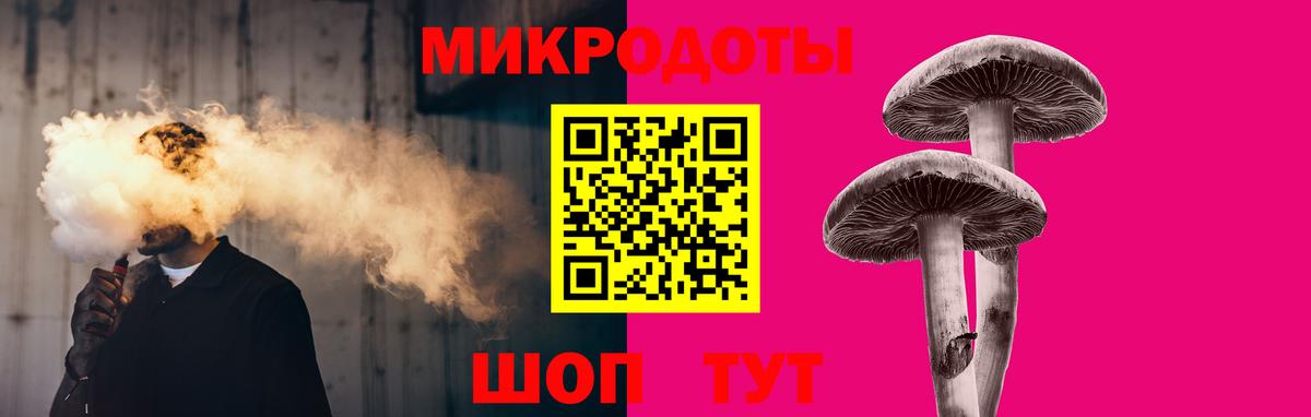 Губкин  Псилоцибиновые грибы Psilocybe  Вход с VPN 